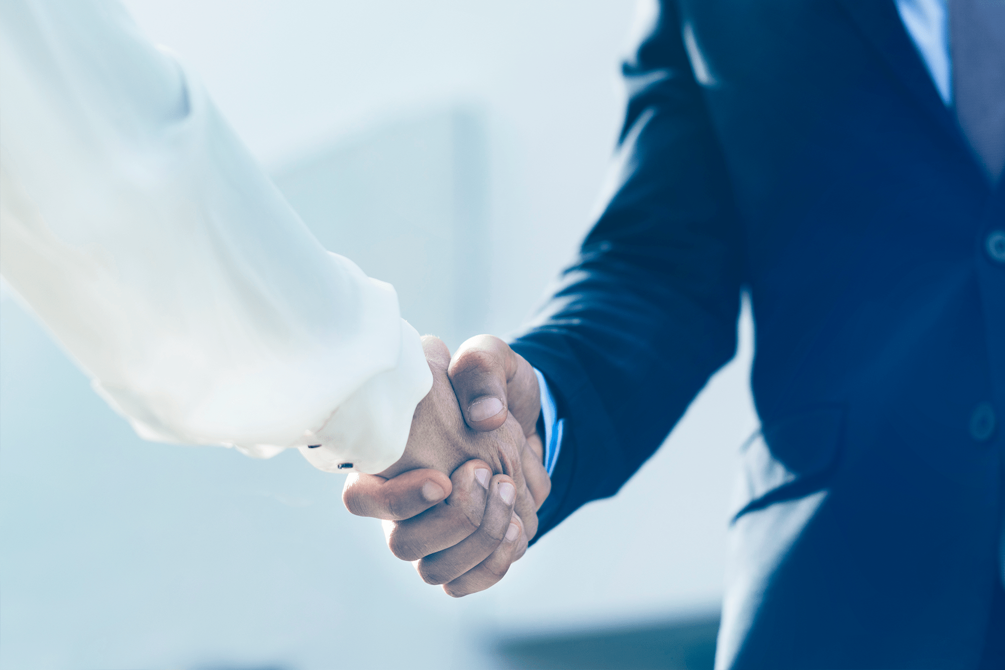 Introduction Adam Management Holdings